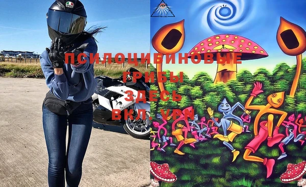 ECSTASY Алексеевка