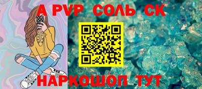 индика Новодвинск