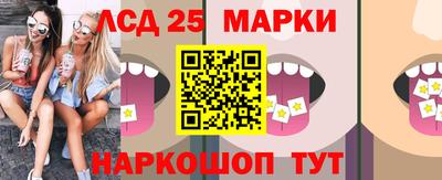 индика Новодвинск