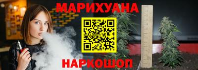 индика Новодвинск
