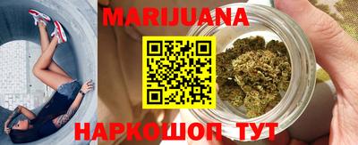 индика Новодвинск