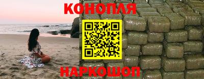 индика Новодвинск