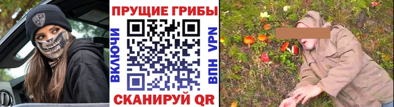 Псилоцибиновые грибы Magic Shrooms  Чусовой 