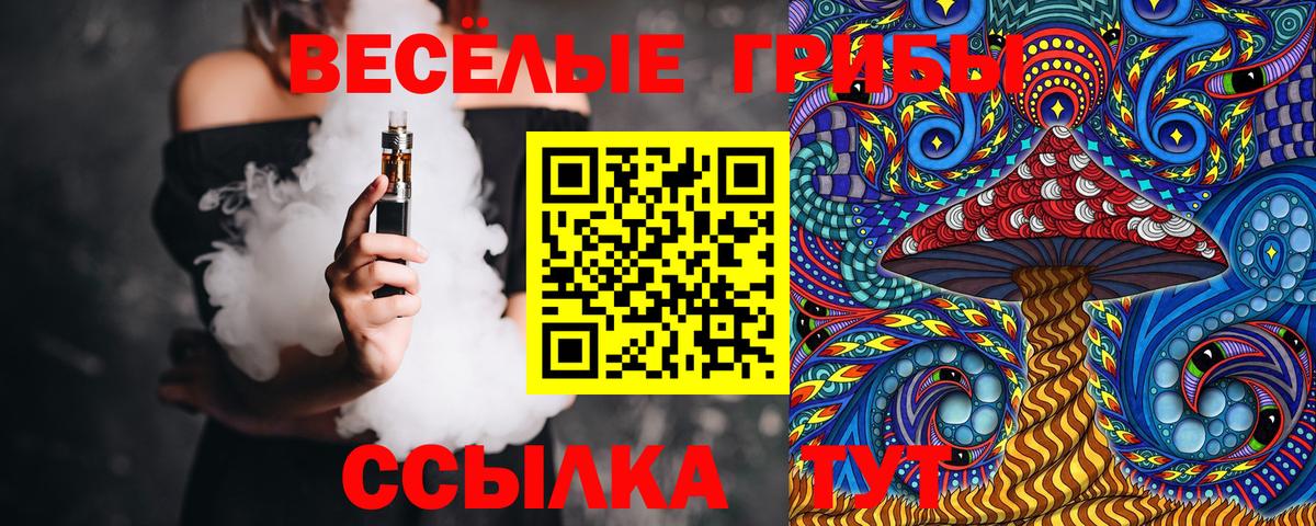 Псилоцибиновые грибы Psilocybine cubensis Чусовой